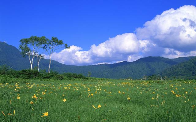 揭阳婚姻修复指南，重建信任与沟通的艺术-第1张图片-情感大咖